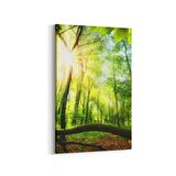 Olla 14313D Doğa / Manzara Görseli Dikey Kanvas Tablo (Ölçü: 100X150)
