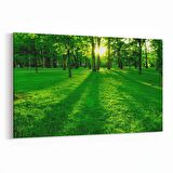 Olla 13929Y Doğa / Manzara Görseli Yatay Kanvas Tablo (Ölçü: 90X60)