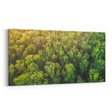 Olla 13244YD Doğa / Manzara Görseli Yatay Dar Kanvas Tablo (Ölçü: 60X30)