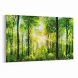 Olla 13838Y Doğa / Manzara Görseli Yatay Kanvas Tablo (Ölçü: 45X30)