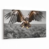 Olla 12566Y Hayvanlar Alemi Görseli Yatay Kanvas Tablo (Ölçü: 30X20)