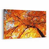 Olla 10610Y Ağaç Görseli Yatay Kanvas Tablo (Ölçü: 120X80)