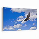 Olla 15878Y Gökyüzü Kuşlar Görseli Yatay Kanvas Tablo (Ölçü: 90X60)