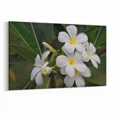 Olla 10859Y Ağaç Görseli Yatay Kanvas Tablo (Ölçü: 150X100)