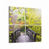 Olla 13276K4 Doğa / Manzara Görseli Kare 4'lü Kanvas Tablo (Ölçü: 125X125)