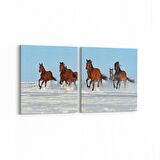 Olla 12519K2Y Hayvanlar Alemi Görseli Kare 2'li Yatay Kanvas Tablo (Ölçü: 85X40)