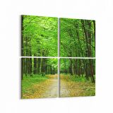 Olla 13373K4 Doğa / Manzara Görseli Kare 4'lü Kanvas Tablo (Ölçü: 145X145)