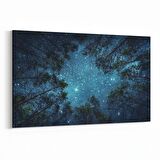 Olla 14798Y Gece Gökyüzü Görseli Yatay Kanvas Tablo (Ölçü: 150X100)