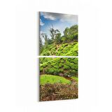 Olla 14544K2D Doğa / Manzara Görseli Kare 2'li Dikey Kanvas Tablo (Ölçü: 30X65)