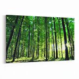 Olla 13364Y Doğa / Manzara Görseli Yatay Kanvas Tablo (Ölçü: 30X20)