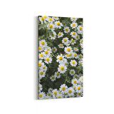 Olla 11611DD Çiçek Görseli Dikey Dar Kanvas Tablo (Ölçü: 40X80)