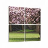 Olla 13444K4 Doğa / Manzara Görseli Kare 4'lü Kanvas Tablo (Ölçü: 105X105)