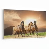 Olla 12488Y Hayvanlar Alemi Görseli Yatay Kanvas Tablo (Ölçü: 30X20)