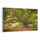 Olla 14268Y Doğa / Manzara Görseli Yatay Kanvas Tablo (Ölçü: 45X30)