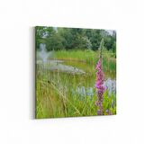 Olla 13829K Doğa / Manzara Görseli Kare Kanvas Tablo (Ölçü: 30X30)