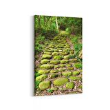 Olla 14169D Doğa / Manzara Görseli Dikey Kanvas Tablo (Ölçü: 100X150)