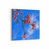 Olla 10539K Ağaç Görseli Kare Kanvas Tablo (Ölçü: 60X60)