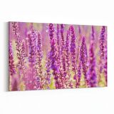 Olla 11578Y Çiçek Görseli Yatay Kanvas Tablo (Ölçü: 45X30)