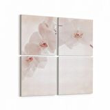 Olla 11722K4 Orkide Çiçek Görseli Kare 4'lü Kanvas Tablo (Ölçü: 145X145)