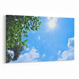 Olla 10842Y Ağaç Görseli Yatay Kanvas Tablo (Ölçü: 90X60)