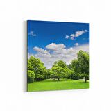 Olla 14562K Doğa / Manzara Görseli Kare Kanvas Tablo (Ölçü: 25X25)