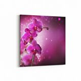 Olla 11748K Orkide Çiçek Görseli Kare Kanvas Tablo (Ölçü: 25X25)