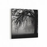 Olla 13652K Doğa / Manzara Görseli Kare Kanvas Tablo (Ölçü: 25X25)