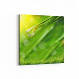 Olla 17216K Su / Damla Görseli Kare Kanvas Tablo (Ölçü: 25X25)