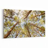 Olla 10639Y Ağaç Görseli Yatay Kanvas Tablo (Ölçü: 120X80)