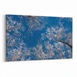 Olla 10499Y Ağaç Görseli Yatay Kanvas Tablo (Ölçü: 70X50)