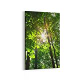 Olla 13710D Doğa / Manzara Görseli Dikey Kanvas Tablo (Ölçü: 60X90)