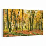 Olla 14354Y Doğa / Manzara Görseli Yatay Kanvas Tablo (Ölçü: 70X50)