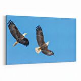 Olla 12642Y Hayvanlar Alemi Görseli Yatay Kanvas Tablo (Ölçü: 90X60)