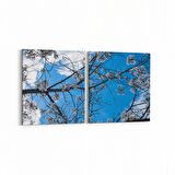 Olla 10764K2Y Ağaç Görseli Kare 2'li Yatay Kanvas Tablo (Ölçü: 125X60)