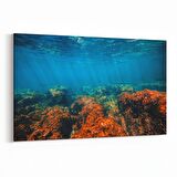 Olla 12874Y Deniz / Okyanus Görseli Yatay Kanvas Tablo (Ölçü: 45X30)