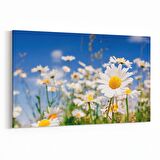 Olla 13544Y Doğa / Manzara Görseli Yatay Kanvas Tablo (Ölçü: 45X30)