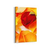 Olla 11616D Çiçek Görseli Dikey Kanvas Tablo (Ölçü: 100X150)