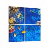 Olla 12096K4 Akvaryum / Balık Görseli Kare 4'lü Kanvas Tablo (Ölçü: 105X105)