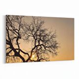 Olla 10559Y Ağaç Görseli Yatay Kanvas Tablo (Ölçü: 30X20)