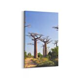 Olla 14018D Doğa / Manzara Görseli Dikey Kanvas Tablo (Ölçü: 70X105)