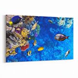 Olla 12096Y Akvaryum / Balık Görseli Yatay Kanvas Tablo (Ölçü: 30X20)