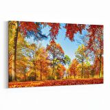 Olla 14116Y Doğa / Manzara Görseli Yatay Kanvas Tablo (Ölçü: 70X50)