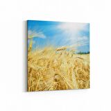 Olla 13893K Doğa / Manzara Görseli Kare Kanvas Tablo (Ölçü: 25X25)