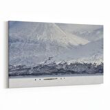 Olla 13604Y Doğa / Manzara Görseli Yatay Kanvas Tablo (Ölçü: 45X30)