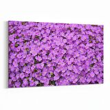 Olla 11587Y Çiçek Görseli Yatay Kanvas Tablo (Ölçü: 90X60)