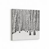 Olla 13317K Doğa / Manzara Görseli Kare Kanvas Tablo (Ölçü: 25X25)