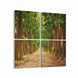 Olla 13350K4 Doğa / Manzara Görseli Kare 4'lü Kanvas Tablo (Ölçü: 65X65)