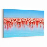 Olla 12687Y Hayvanlar Alemi Görseli Yatay Kanvas Tablo (Ölçü: 70X50)