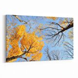 Olla 10978Y Ağaç Görseli Yatay Kanvas Tablo (Ölçü: 70X50)