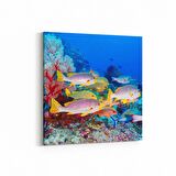 Olla 12069K Akvaryum / Balık Görseli Kare Kanvas Tablo (Ölçü: 25X25)